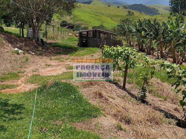 #31 - Chácara para Venda em Guaratinguetá - SP - 3