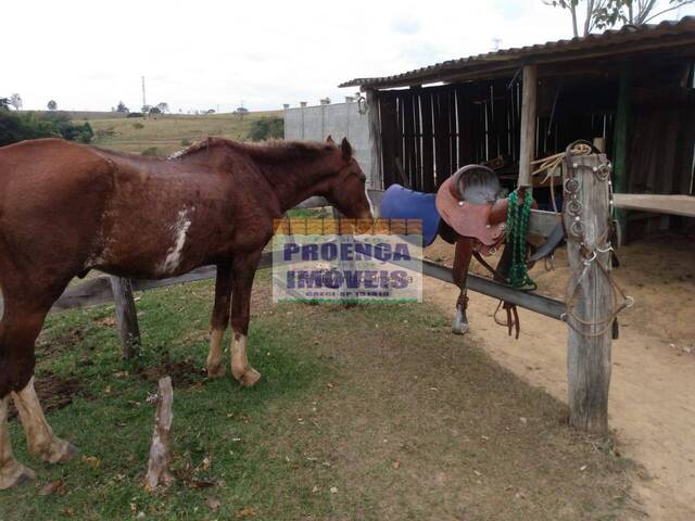 Chácara para Venda em Guaratinguetá - 4